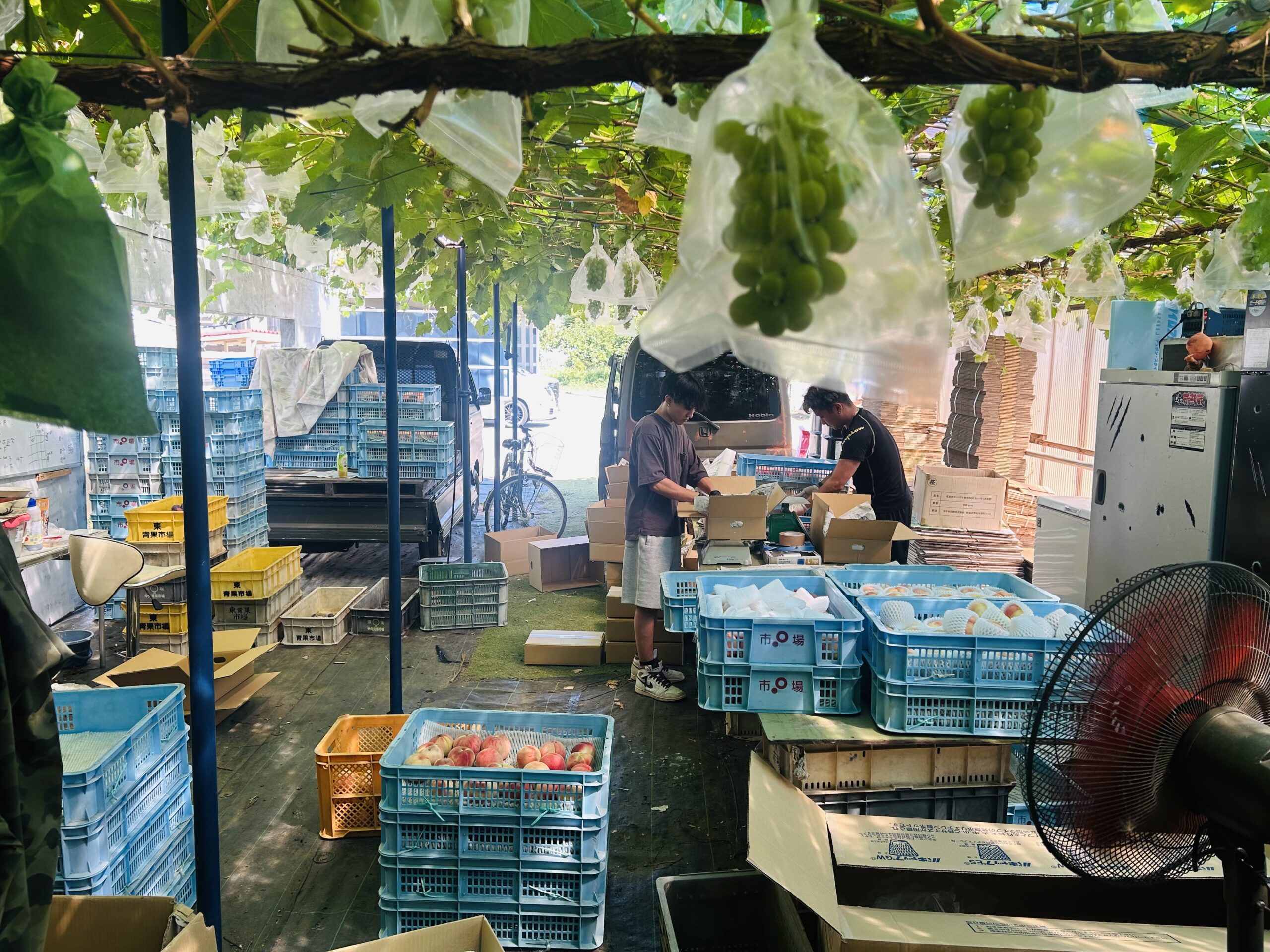 家庭用・訳あり商品でリピーターを獲得。売上を伸ばすための実践